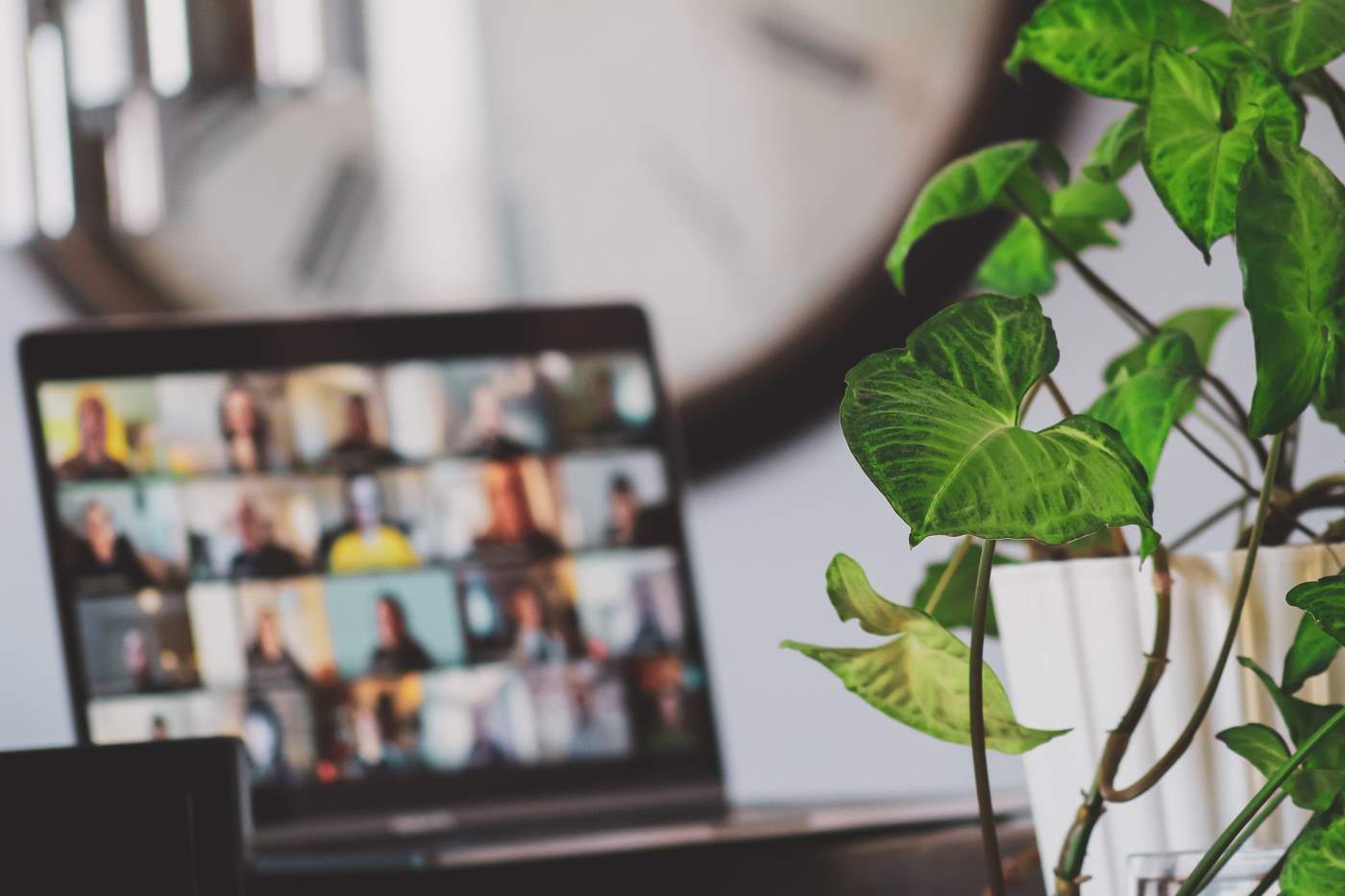 Out of focus picture of a zoom meeting with a plant in the foreground