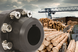 R+W 300x200 - Timber Processing